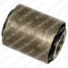 DELPHI TD495W Control Arm-/Trailing Arm Bush